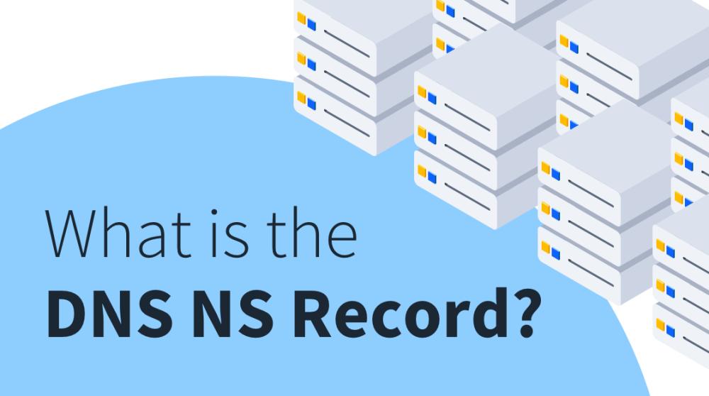 ns record
