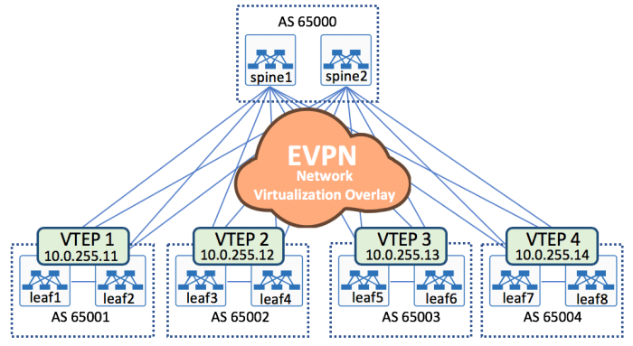 evpn