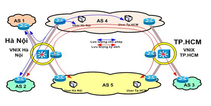 Lưu lượng sử dụng mạng trục (lợi dụng mạng trục) của doanh nghiệp khác để truyền tải lưu lượng Internet nội mạng của mình hoặc giữa các mạng kết nối với các điểm VNIX khác nhau