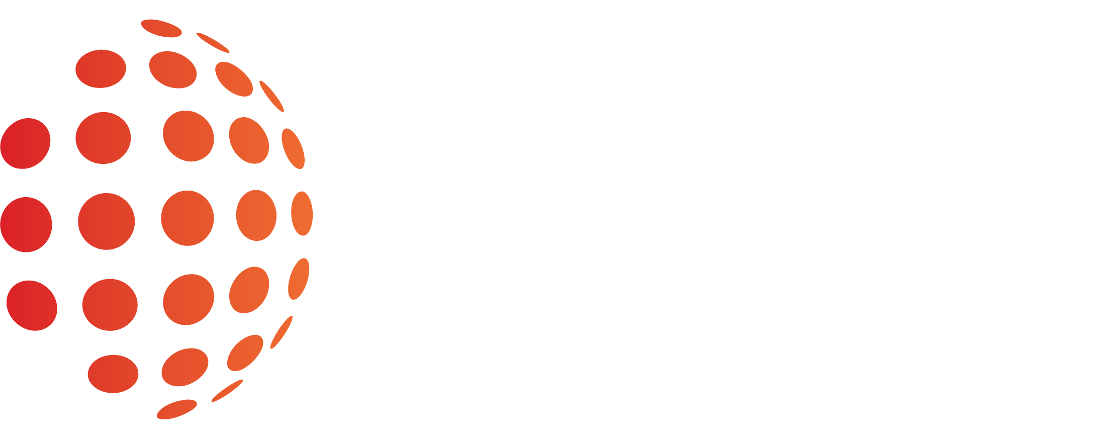 logo-vnnic